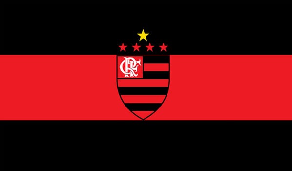 club illustration  flamengo mengao brasil
