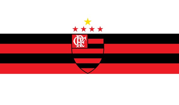 sport club illustration  flamengo mengao brasil