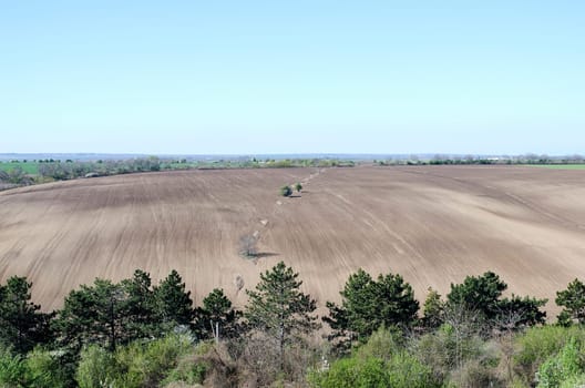 Plowed agricultural field