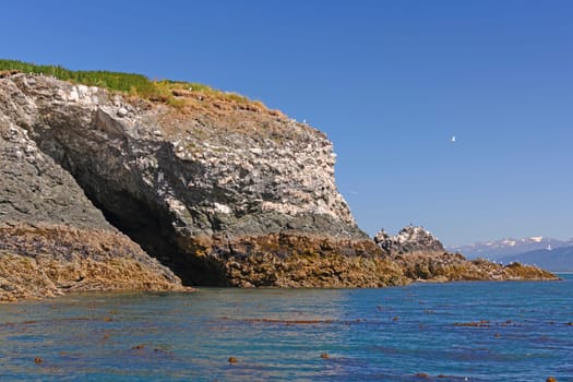 Gull Island in Kachemak Bay in Alaska