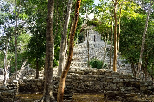 View of the Temple of the Paintings in the Mayan ruins of Coba, Mexico