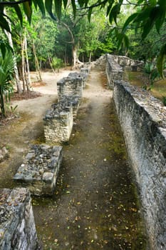 Low wall in the jungle in the Mayan ruins of Coba, Mexico