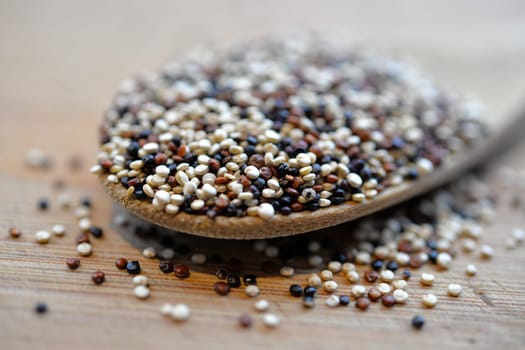 colorful quinoa seed on a spoon