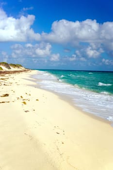 Beautiful sandy beach with nobody on it in the Sian Kaan Biosphere Reserve near Tulum, Mexico