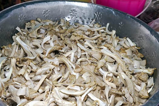oyster mushrooms white asia pan
