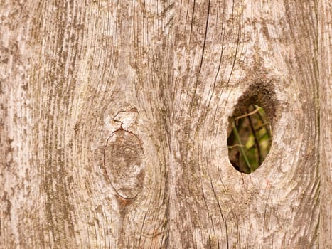 close up of wooden fence outside with a big hole in the right