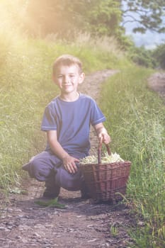 Czech Republic - collecting elder blossom flower - boy with full herbs flower basket on way