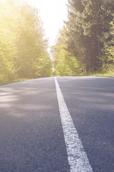 Country asphalt road with tree and sunset flare.