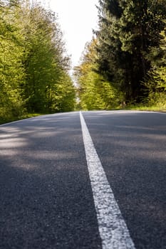 Country asphalt road with tree and sunset flare.