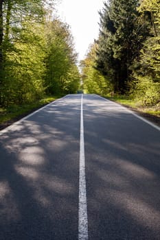 Country asphalt road with tree and sunset flare.