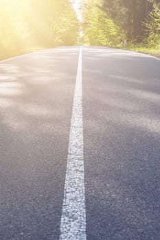 Country asphalt road with tree and sunset flare.
