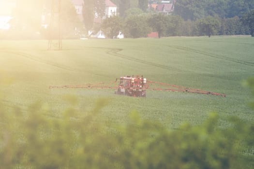 Tractor spraying pesticides on big green field with young grain