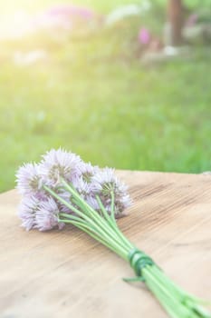 Flower chives tied in a snop on a natural wooden cutting board