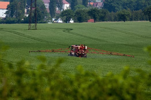 Tractor spraying pesticides on big green field with young grain