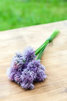 Chives, fresh garden