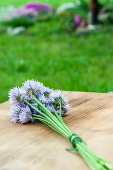 Flower chives tied in a snop on a natural wooden cutting board