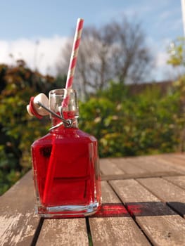 Fresh red juice in a bottle on a garden table