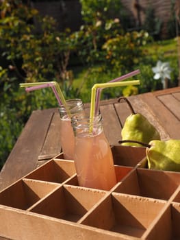 Organic homemade juice in bottles on a garden table