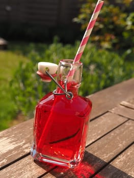 Fresh red juice in a bottle on a garden table