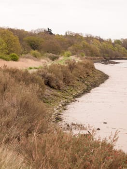 Rocks Lining the Edge of a Coast Sandline with A Clear Sky and Reeds and Brush and Plants and Shrubs Growing at the Edge, and a Walkway and Path on the Ridge and Grass Bank