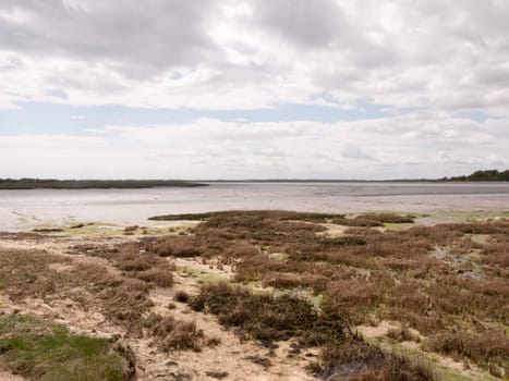 the edge land of a river and seabed bank with rocks flat and moss and reeds no people cloudy white and blue sky beach