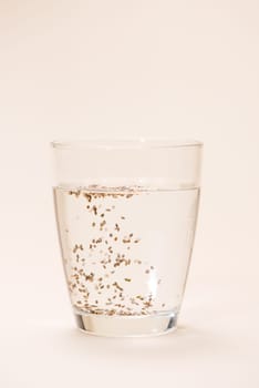 Glass of water with cup of healthy chia seeds and spoon. Text space.