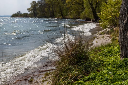 Müritz lake