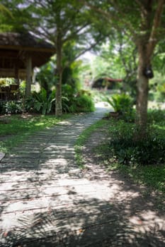 Green Garden Pathway In Summer, stock photo