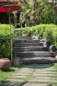 Green Garden Pathway In Summer, stock photo