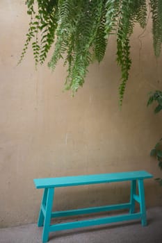 Vintage Green Bench And Hanging Plant, stock photo