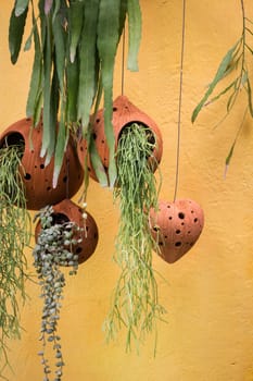 Hanging Green Plant Pot From Roof, stock photo