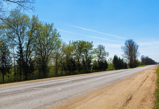 Trees along the road. Asphalt road runs between the trees in the countryside.