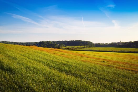 Summer landscape. Field of green grass and blue sky in the countryside.