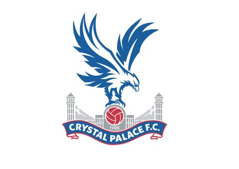 Crystal Palace the eagles football