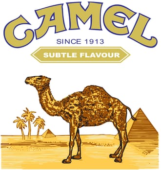 camel cigarette illustration brand