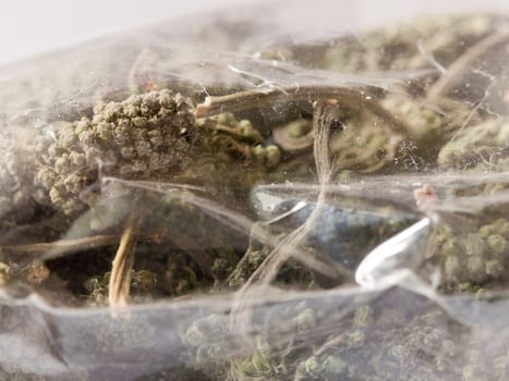 close up of a packet of fresh ginseng leaves