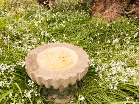 small marble fountain outside in garden with white flowers around