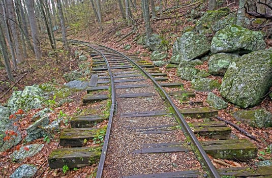 Old Railroad Bed in the Forest along the Blue Ridge Parkway in Virginia