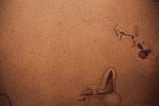 The surface of old wood and brown stains.