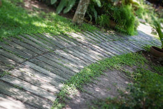 Green Garden Pathway In Summer, stock photo