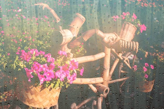 Glass window with a flower pot of vintage.