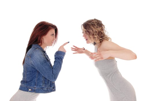 Two young woman standing opposite and fighting with words and.pointing there finger, isolated for white background..