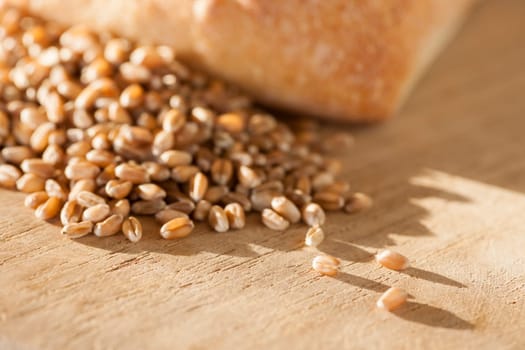 Close-up of spelt grains with rolls on a round breakfast board in the side light in the side light.