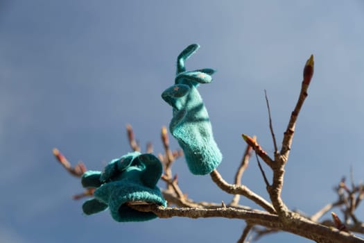 Childs Mittens on Branch with a blue sky.