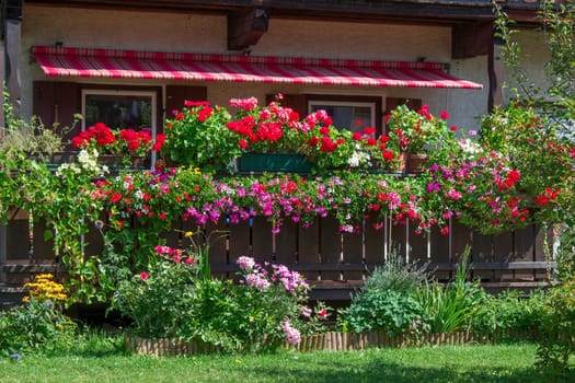 Alp house with a balcony with flower boxes, Tirol, Austria
