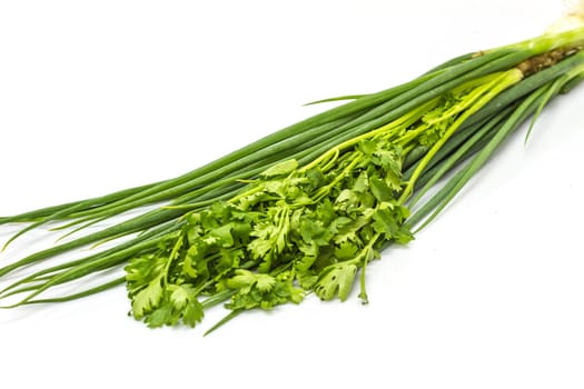 bunch of fresh cilantro and Spring onions on white background