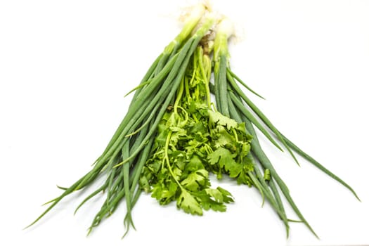 bunch of fresh cilantro and Spring onions on white background