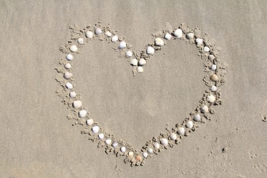 A heart formed from mussel shells.