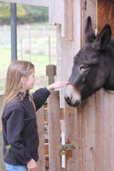 Blonde girl caresses a black donkey.