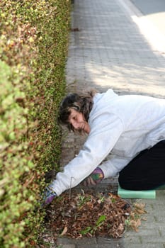 Young woman has fun gardening.